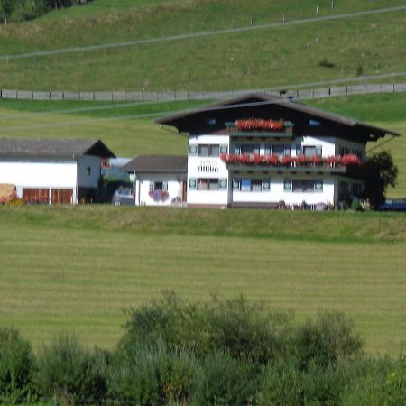 Haus Ottilie Appartement Flachau Buitenkant foto