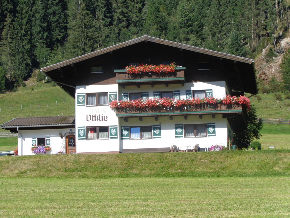 Haus Ottilie Appartement Flachau Buitenkant foto